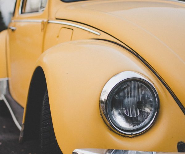 pexels-lilartsy-1461804